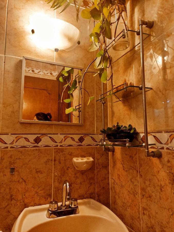 Casa De Los Pajaros - B&B 巴利亚多利德 外观 照片