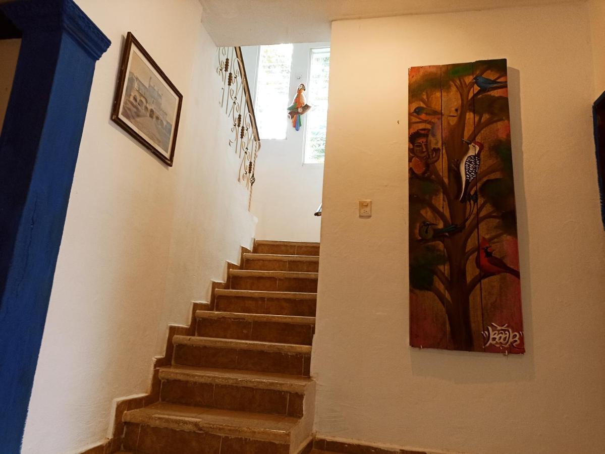 Casa De Los Pajaros - B&B 巴利亚多利德 外观 照片