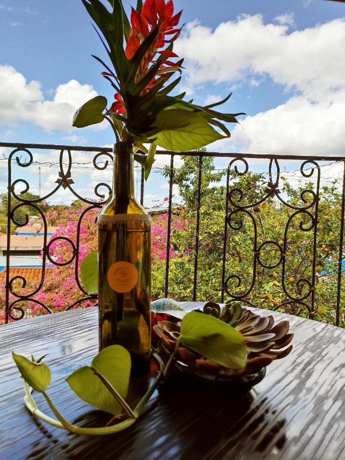 Casa De Los Pajaros - B&B 巴利亚多利德 外观 照片
