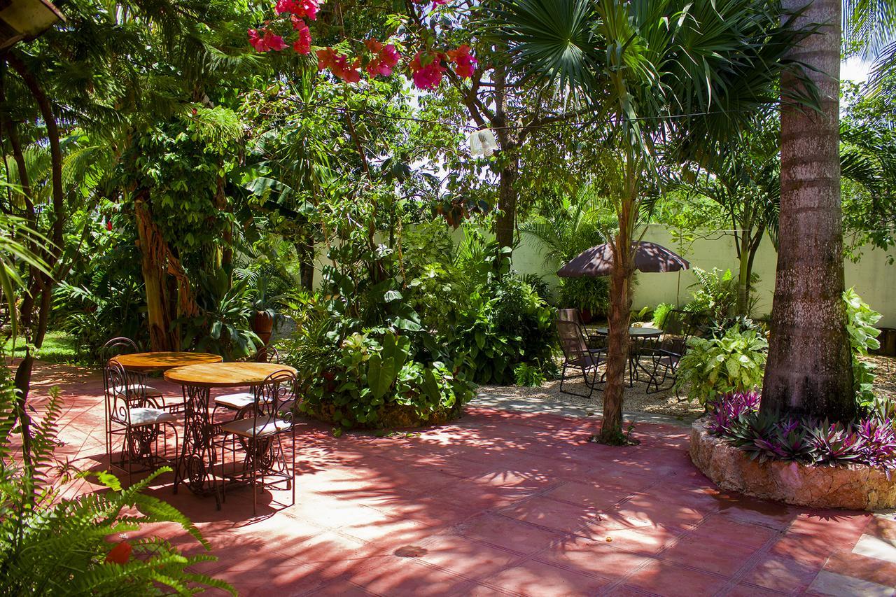 Casa De Los Pajaros - B&B 巴利亚多利德 外观 照片