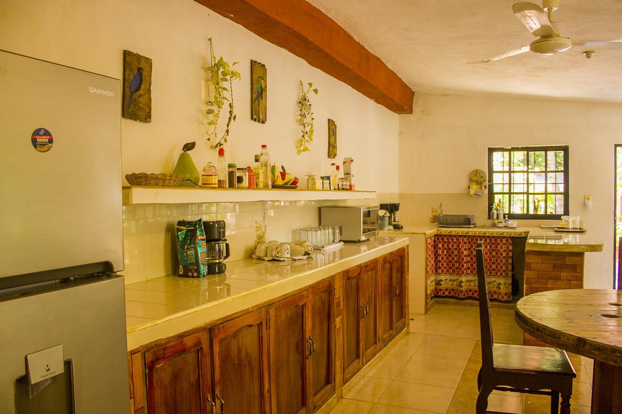 Casa De Los Pajaros - B&B 巴利亚多利德 外观 照片